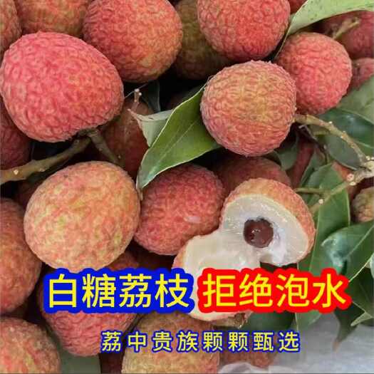 高州市广东高州荔枝基地直发代发代收代购代办服务白糖罂妃子笑荔枝