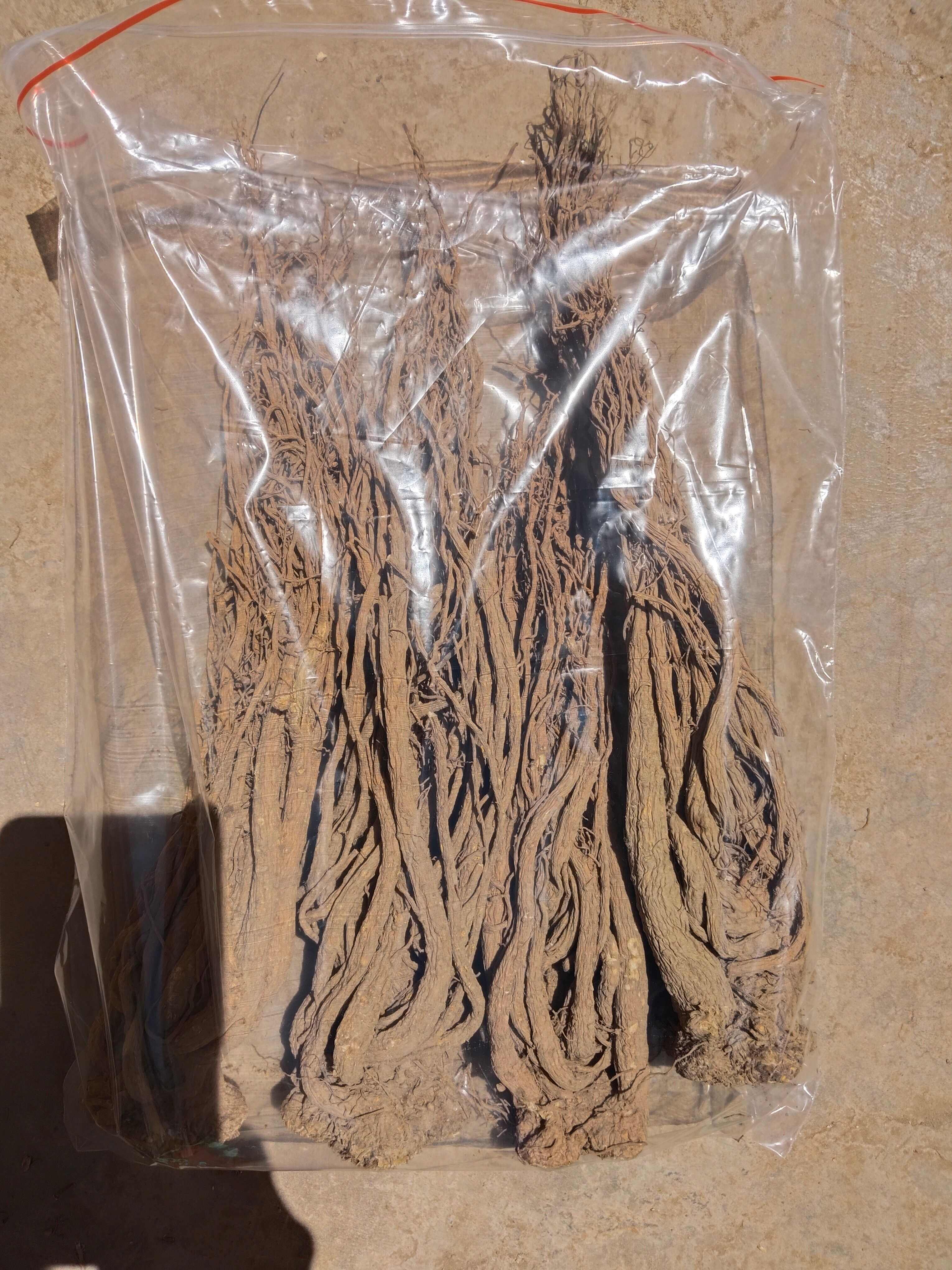 甘肃岷县当归！中国当归之乡！道地药材！产地直发！