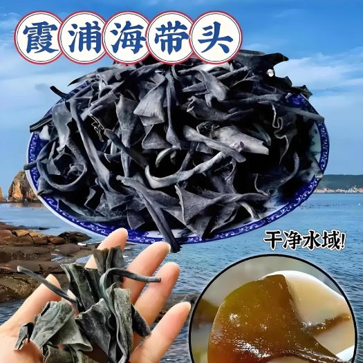 【产地批发】福建霞浦日晒海带头