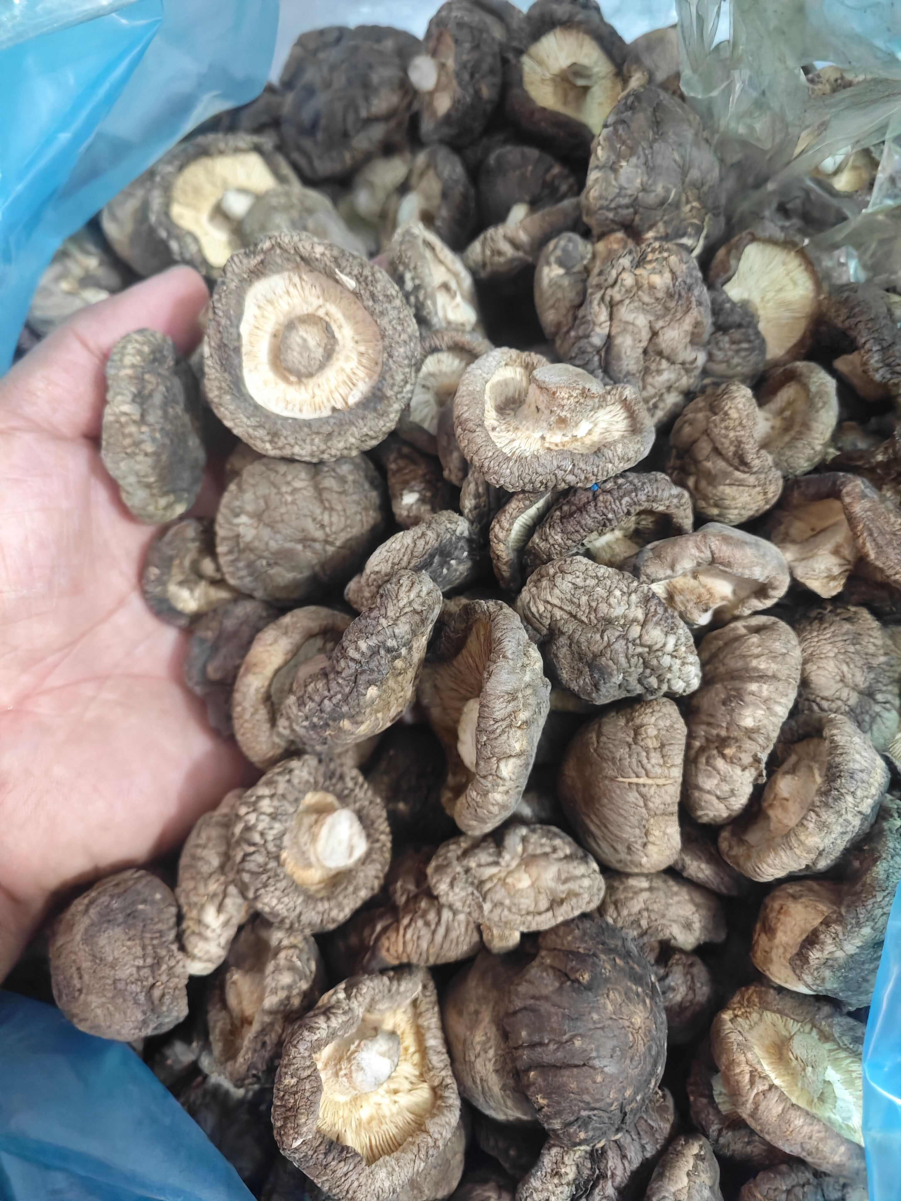 精品花菇干香菇产地直发 干度好 冬菇新菇肉厚无根金钱菇可代发