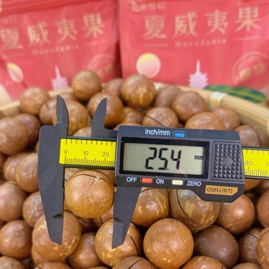 北流市优质进出口澳洲坚果夏威夷果优选大宗批发集采规格口味定制