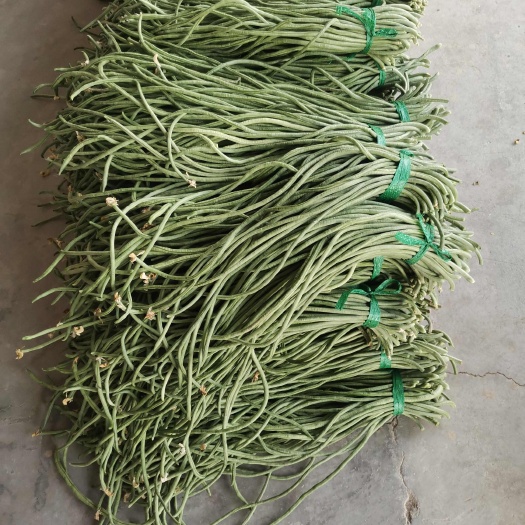 单县鲜豆角大量上市了，有需要的老板请下单。