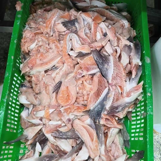 三文鱼鱼骨鱼排鱼刺边角料宠物食品骨饲料工厂货直发挪威