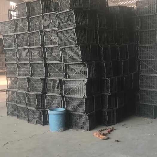 莒南县热销芒果筐运输筐活禽筐子鸽子筐橘子筐地瓜筐蘑菇筐一次性塑料筐