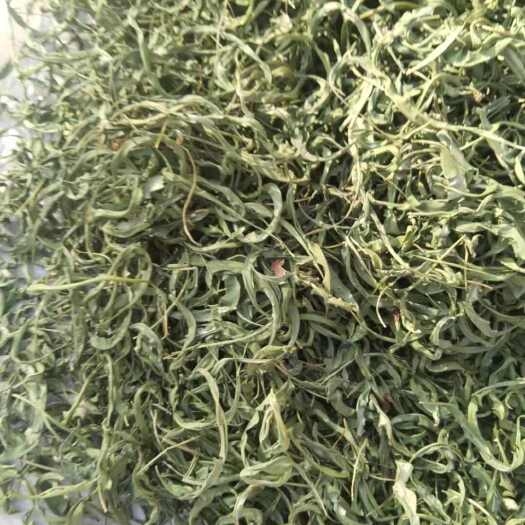 维西县化石草，大叶，，