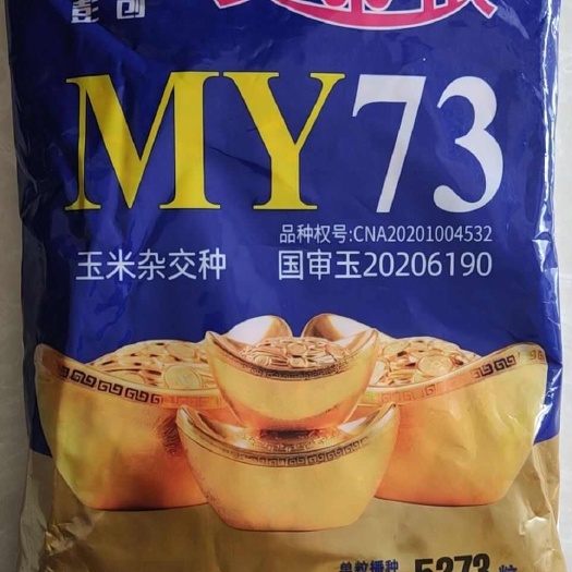 优质玉米良种，品种全，价格低，欢迎咨询选购