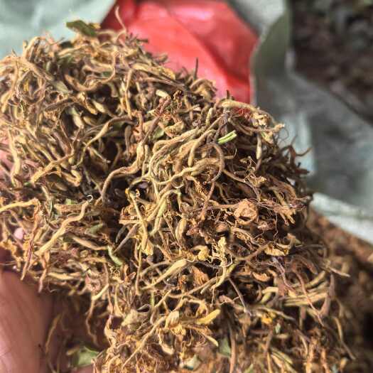 玉屏县金银花