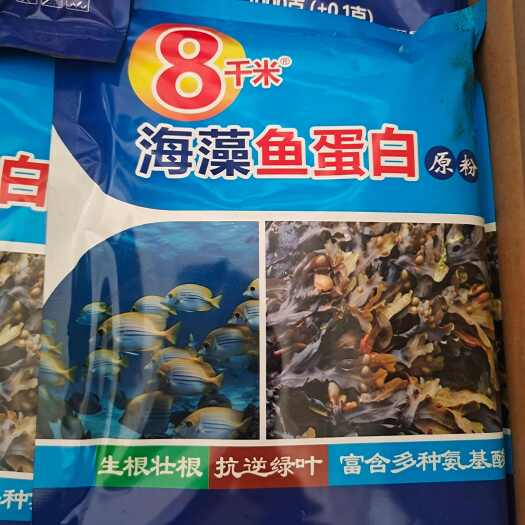 广饶县海藻鱼蛋白优质海藻肥 生物肥料 促进作物生长  产地直发