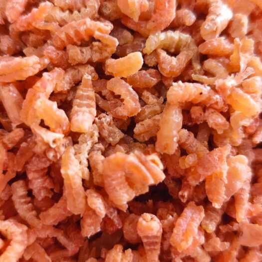 海米干  金钩海米，低盐分，肉质鲜美饱满，个头大大量有货