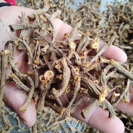 四川 陆英根、秧生草 、接骨草  、八棱麻干货、水洗过滚筒筛