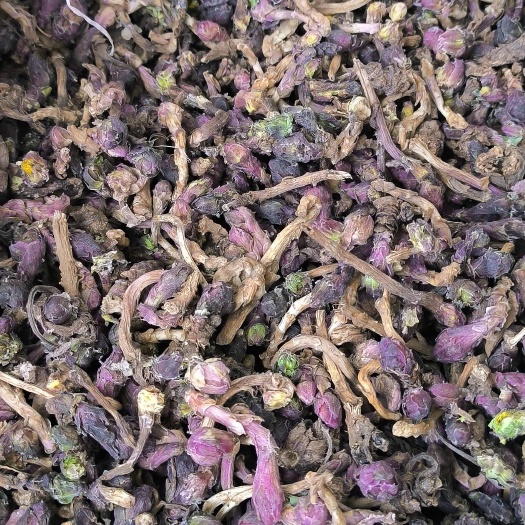 嵩县款冬花新货 产地直发冬花大量供应