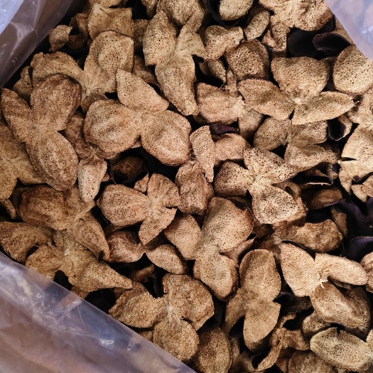 昆明陈皮