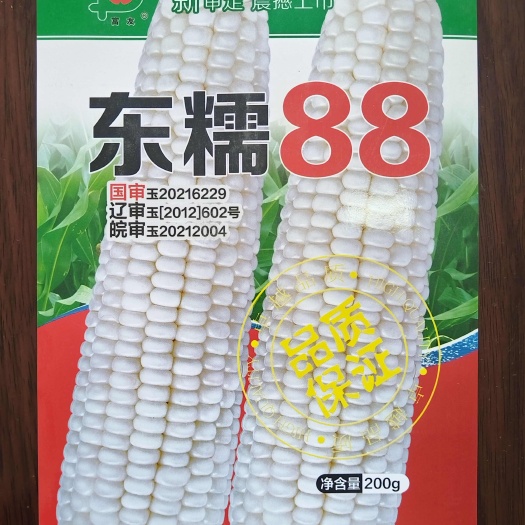 邯郸甜糯玉米，适合鲜食