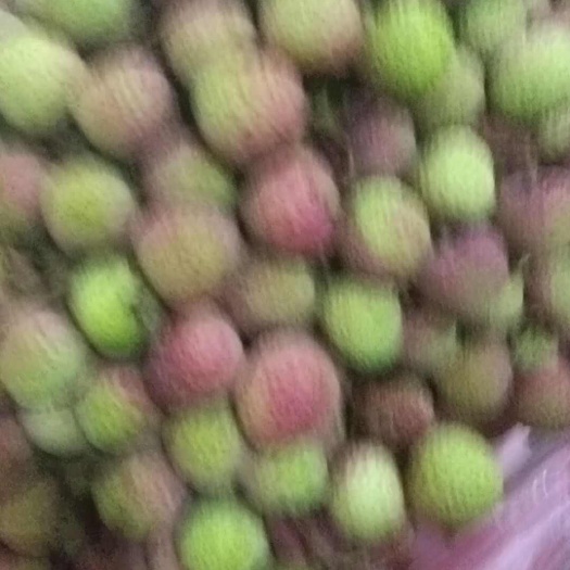 防城港我是广西防城水果批发商何生代卖白糖罂。妃子笑荔枝欢迎联系