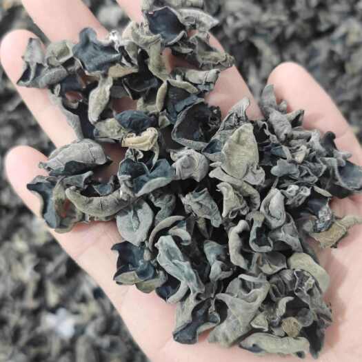 鲁山县【无增重 泡发率高】东北黑木耳干货批发小碗耳秋木耳商超可代发