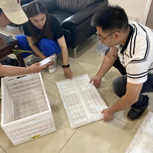 深圳全国租赁智能折叠筐 周转筐 水果款 鸡蛋筐 蔬菜筐 全国可回