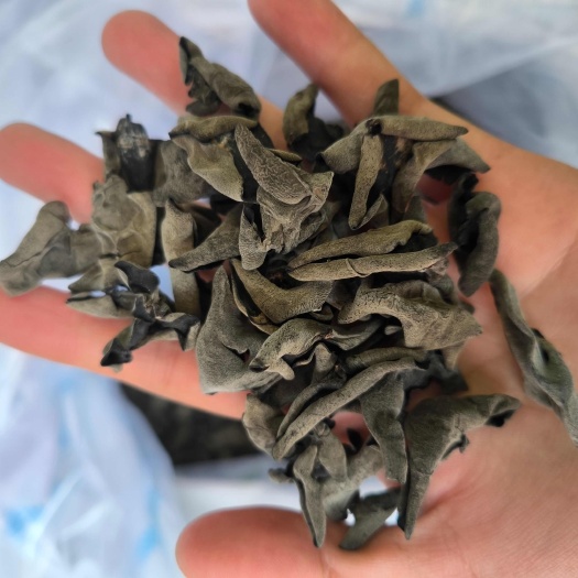 原生不加重黑木耳 东北货 色好厚肉秋木耳