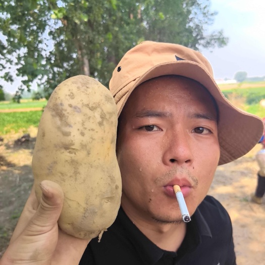 天门市湖北实验一 沃土 大量上市 产地一手货源 质量保证 大量供应