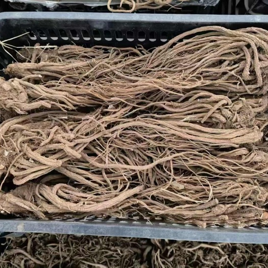 甘洛县当归干货