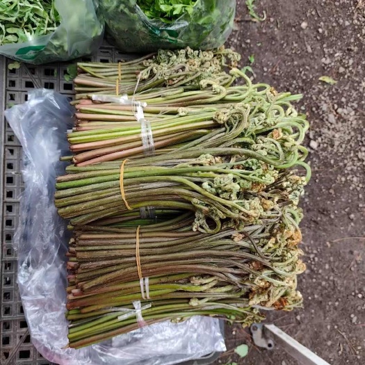 惠水县常年提供野生菌，野菜…有需求请认准图片咨询