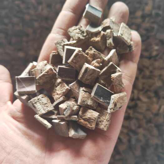 六盘水杜仲丁