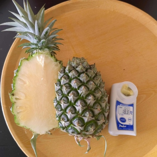 甜蜜蜜凤梨，金钻凤梨徐闻菠萝芒果凤梨金蜜凤梨