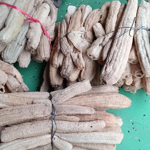邵阳县湖南邵阳优质丝瓜络干燥藤木中药材批发供应