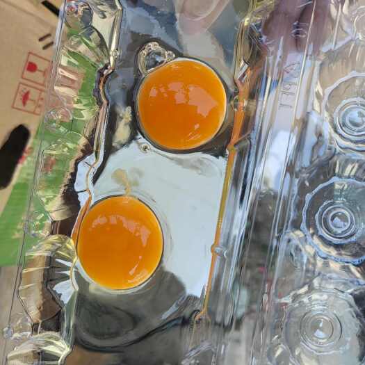 石家庄富硒无抗鸡蛋