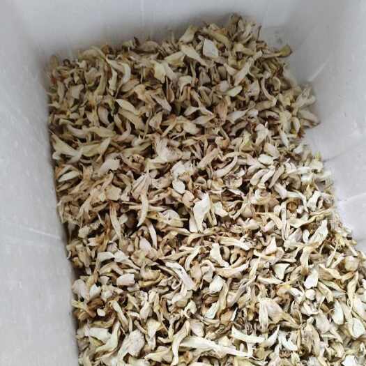 内丘县百搭干平菇，多种美食任你造，烹调成炊蛋、炖汤、蒸鱼等各式佳肴