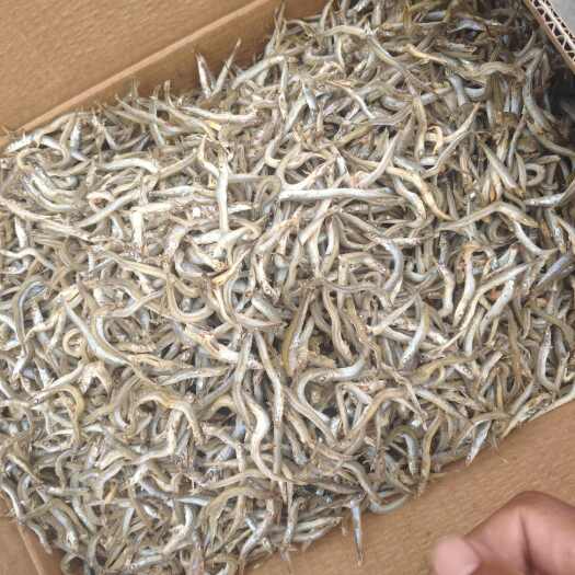深海优质小青鱼干  面条鱼干  品质好  精选食材 原味自然
