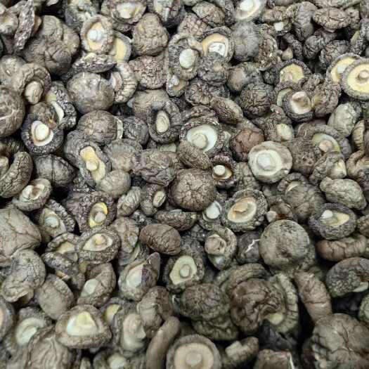 十堰干香菇