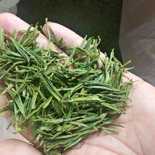 金寨县皖西白茶