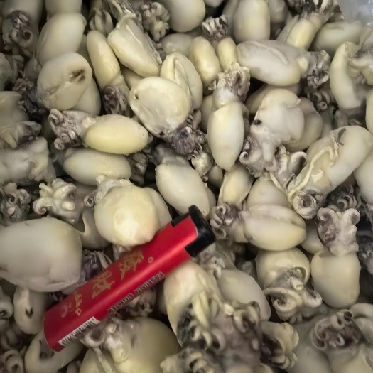 庄河市干冻无冰墨鱼仔，食品厂清库存，价格可谈