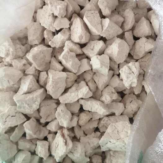 楚雄市云南茯苓