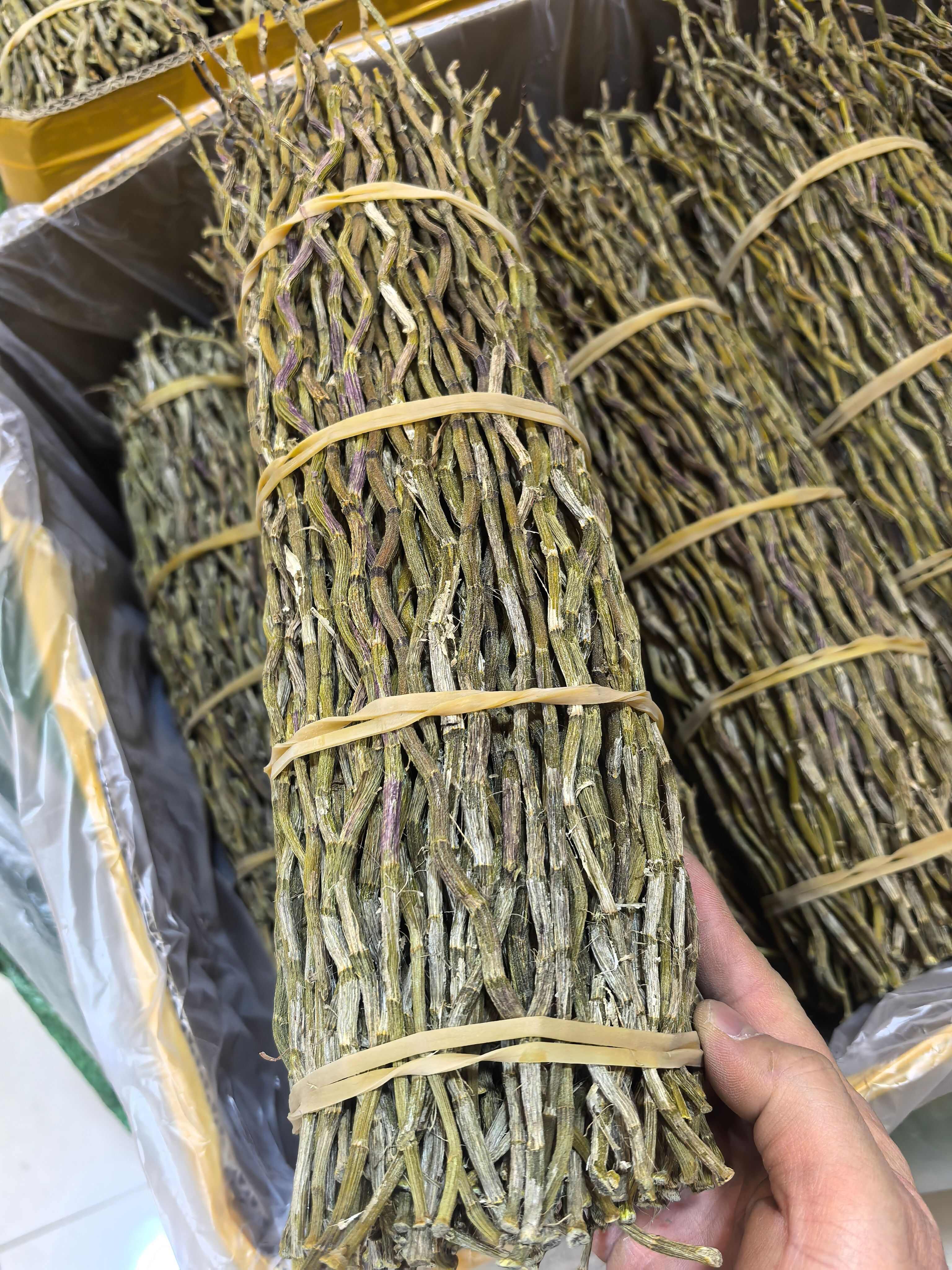 铁皮石斛捆条，长度25-35公分