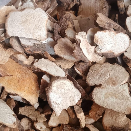 广州土茯苓无硫，土伏岑，自然风干，土伏岑片