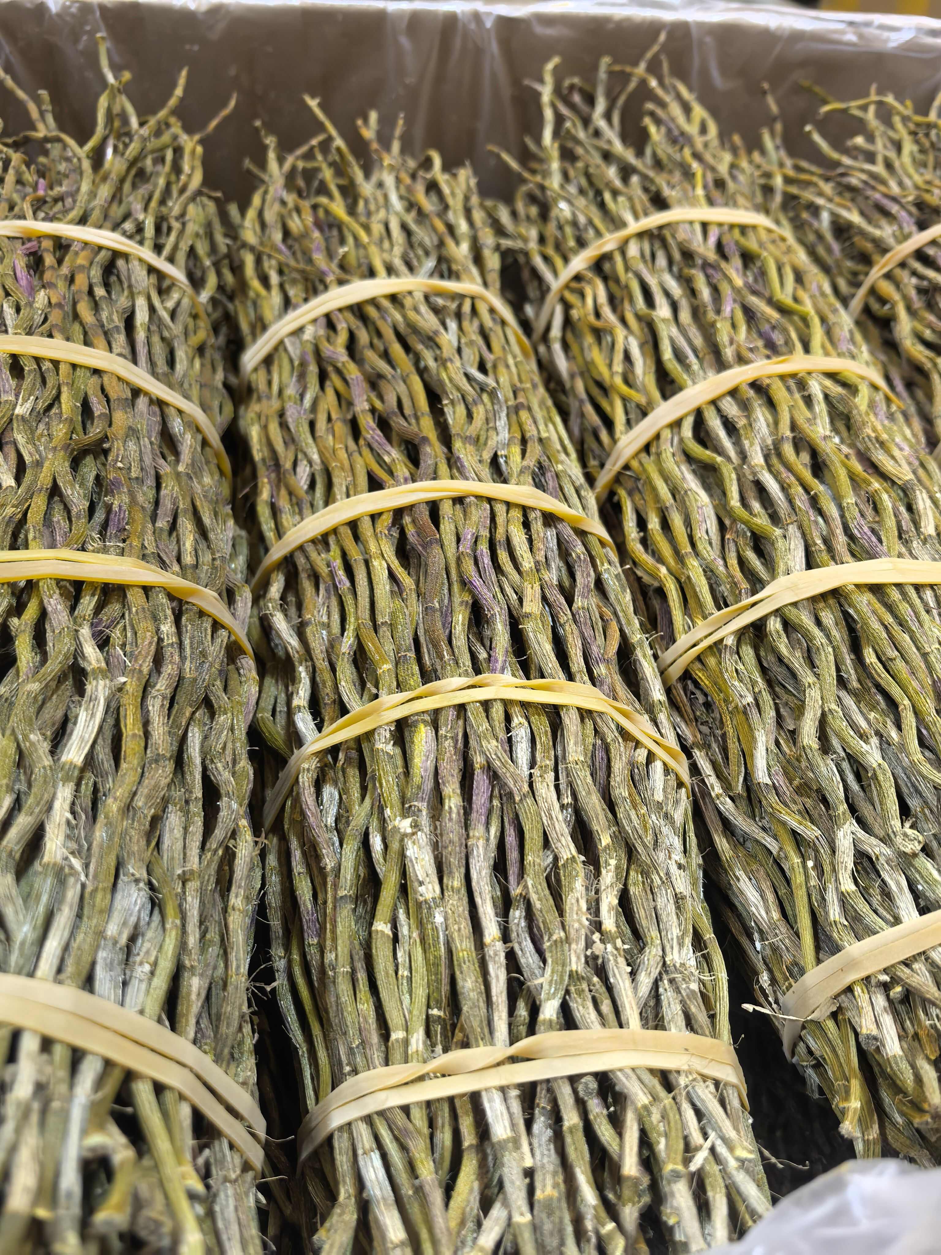 铁皮石斛捆条，长度25-35公分