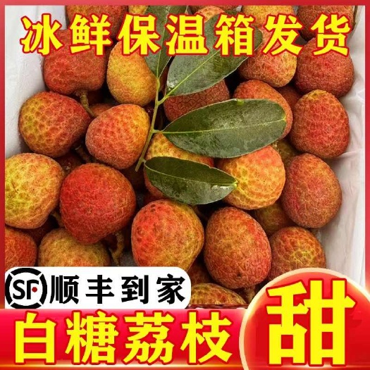 化州市【顺丰冷链】现摘新鲜荔枝白糖罂妃子笑当季桂味黑叶荔枝新鲜水果