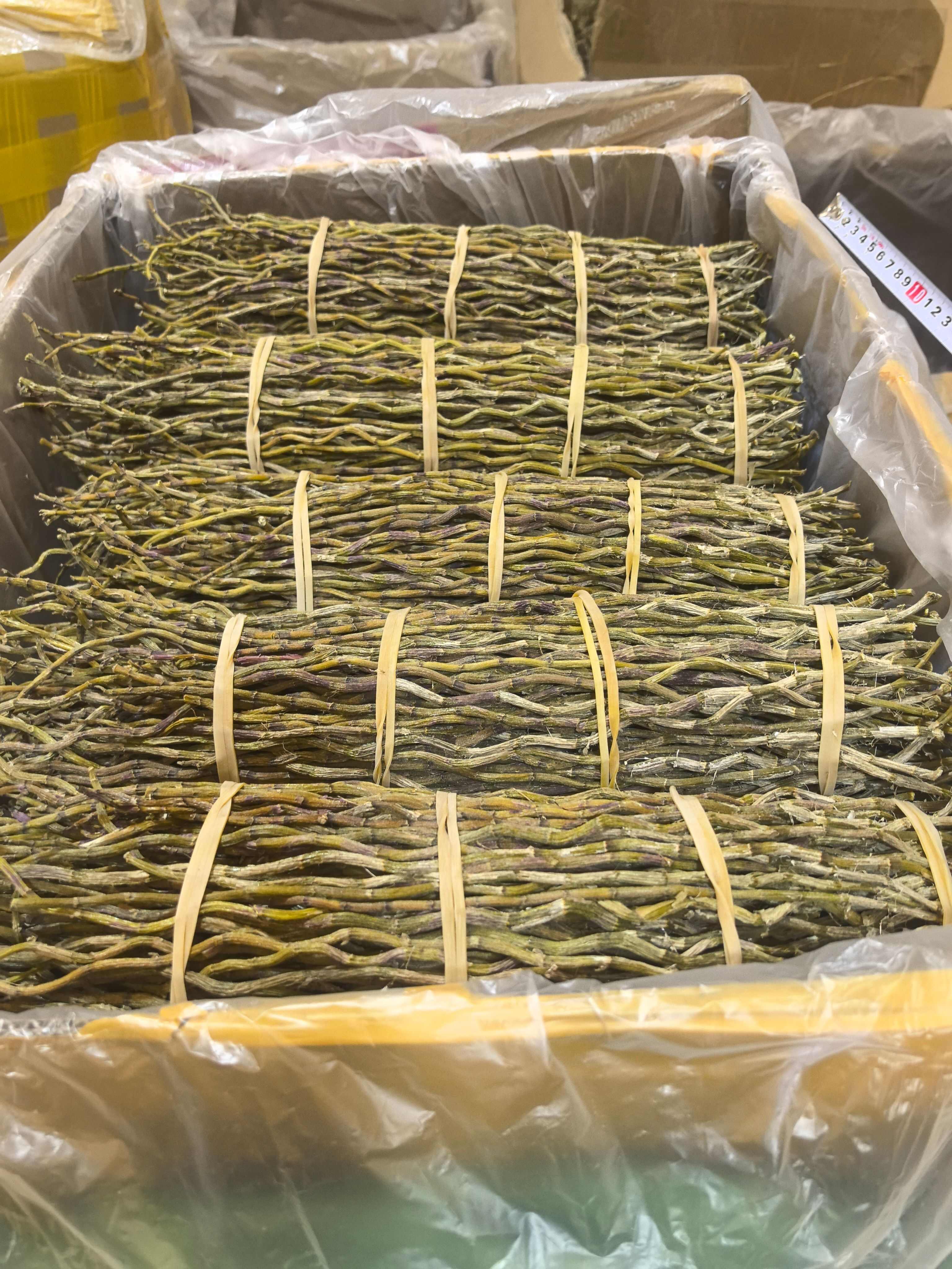 铁皮石斛捆条，长度25-35公分