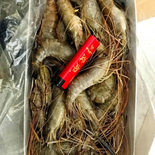 冻花虾大虾冻虾食品厂清库存数量有限