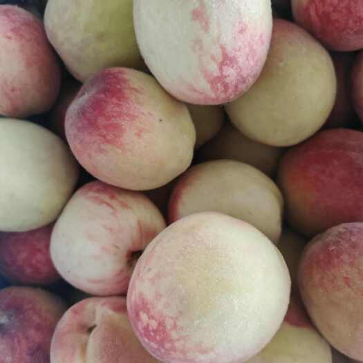 大荔县水蜜桃白凤