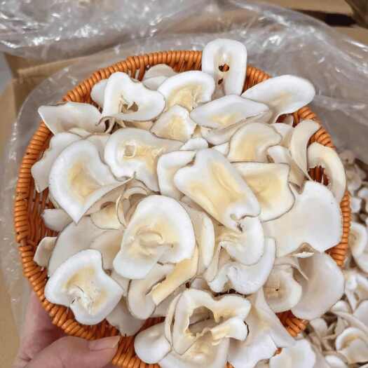 广州泰国海底椰子片 3-6个月保鲜 休闲零食优选