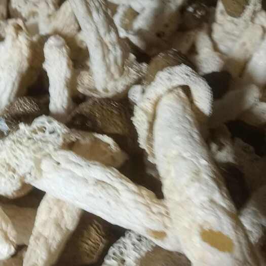 贵州黑头竹荪，一手货源，产地直发