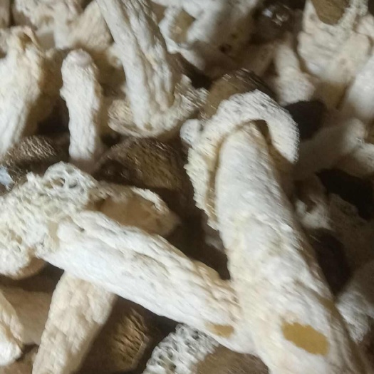 安龙县贵州黑头竹荪，一手货源，产地直发