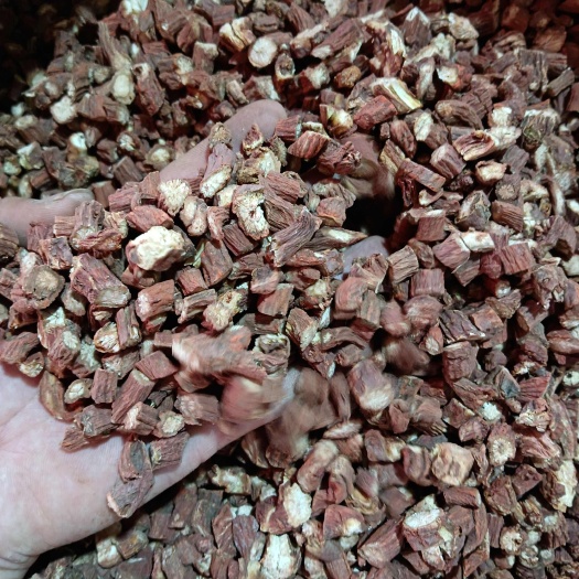 梧州丹参干货      无流   靓货  足干正品丹参大粒