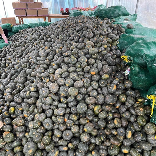嵩明县缅甸贝贝南瓜，2-8两都有，二级电商果，现货，也可一件代发