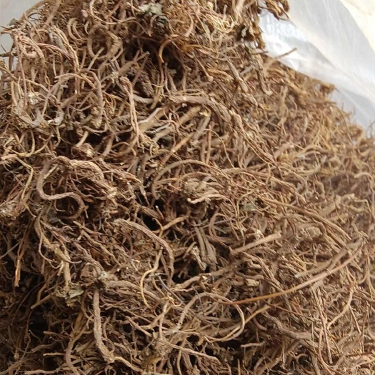 安龙县积雪草根