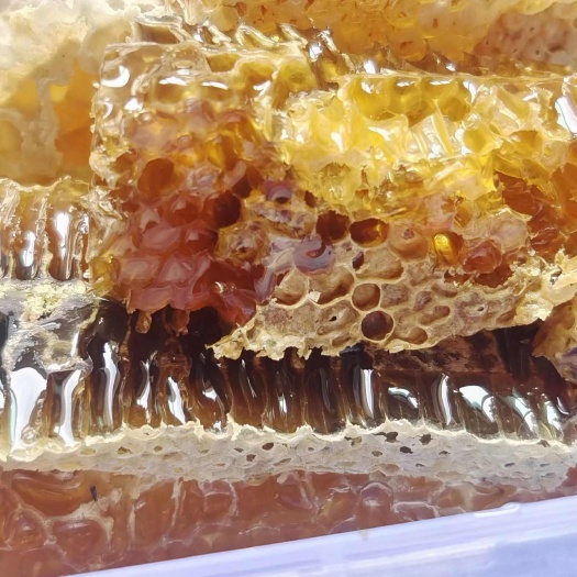 白河县高山蜂彩纯正天然农户土蜂蜜500g/瓶装天然营养滋补品