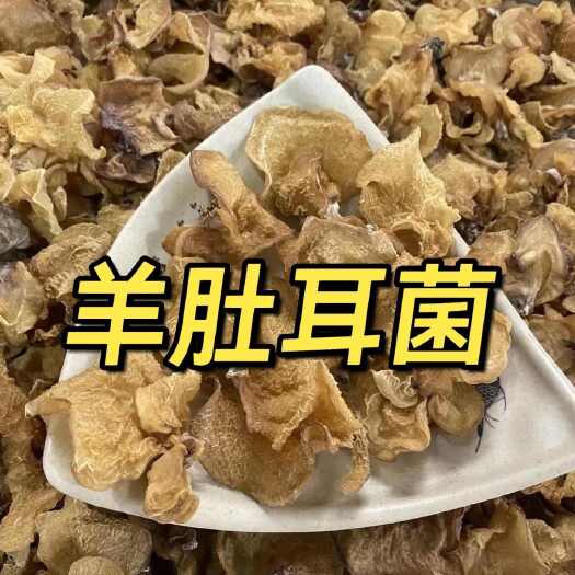 鱼台县羊肚耳/ 沙耳/珍珠菌～产地直发 一手货源 山东济宁