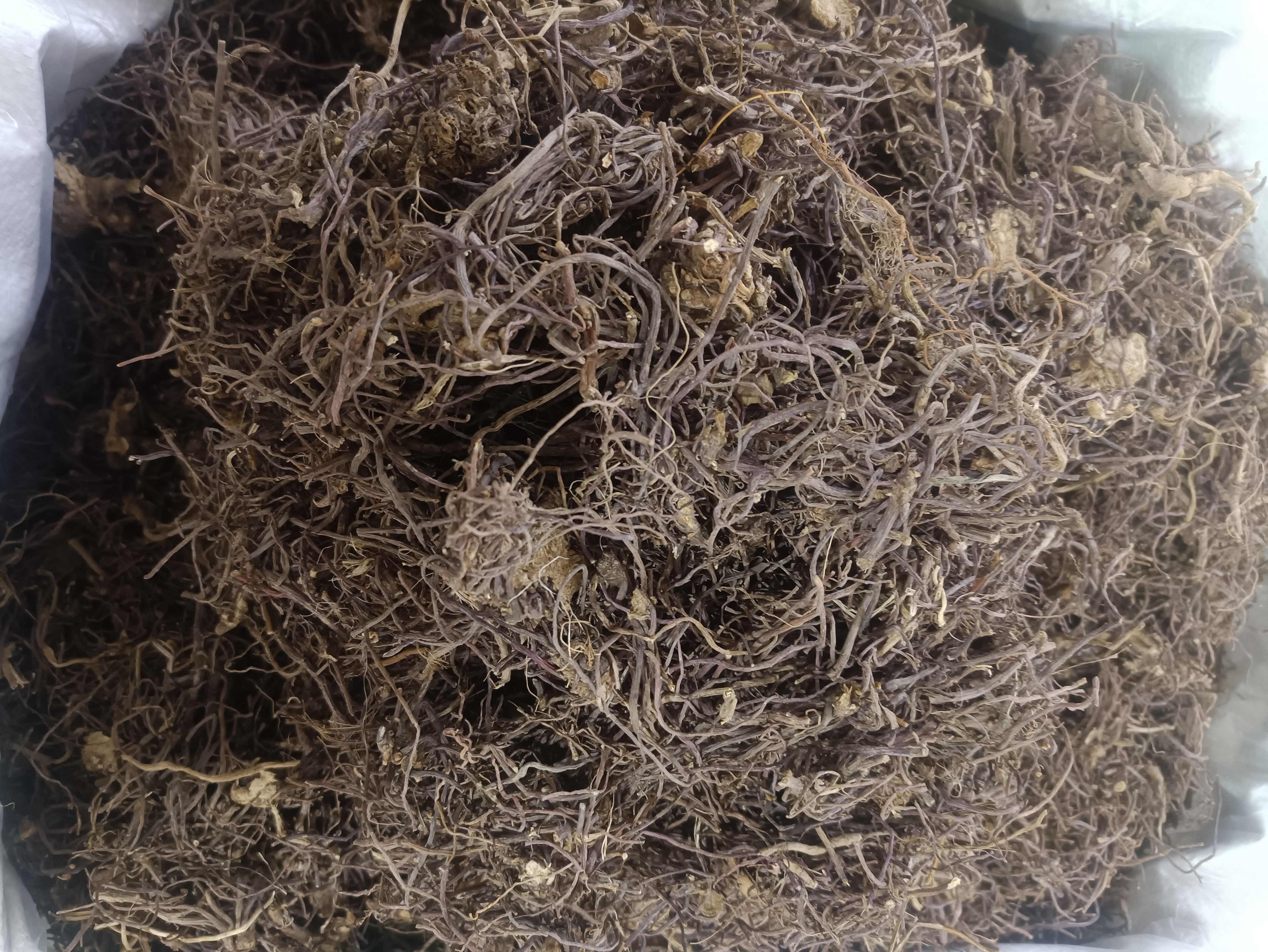 紫苑紫菀全规格道地无硫正品紫菀